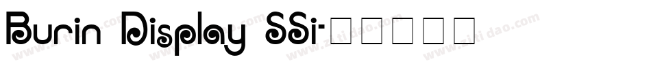 Burin Display SSi字体转换